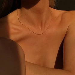 Titanium With 18K Gold Thin Snake Chian Choker Necklace Designer T Show Runway Gown Rare INS Japan Korean Boho Gothic Hip Hop