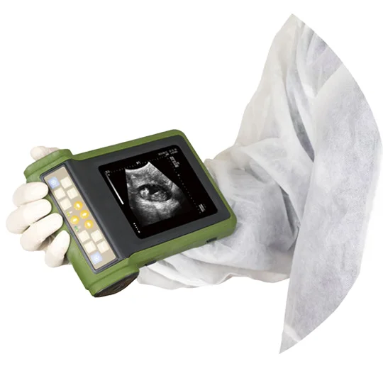 EUR VET Veterinary Equipment Laptop Ultrasound Machine Portable Diagnostic Scanner for Small and Large Animal Examination