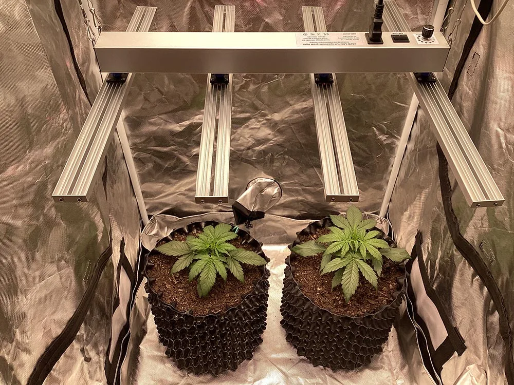 Hotricure Grow System 600D 160x80x80 cm Growzelt 240W LED Growlampe – Detail 1