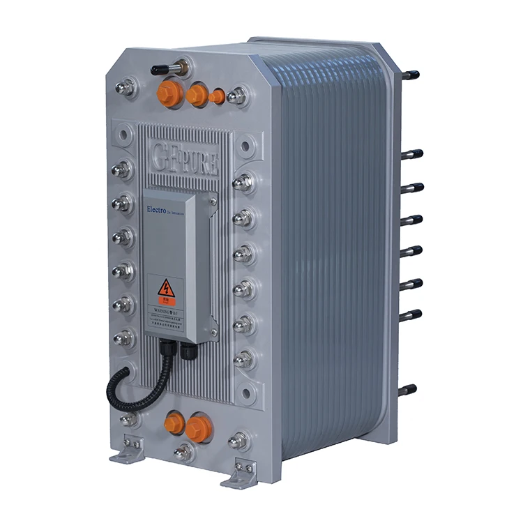 Sistema professionale per l'attrezzatura per il trattamento dell'acqua EDI per piante con filtro dell'acqua per purificatore Ro