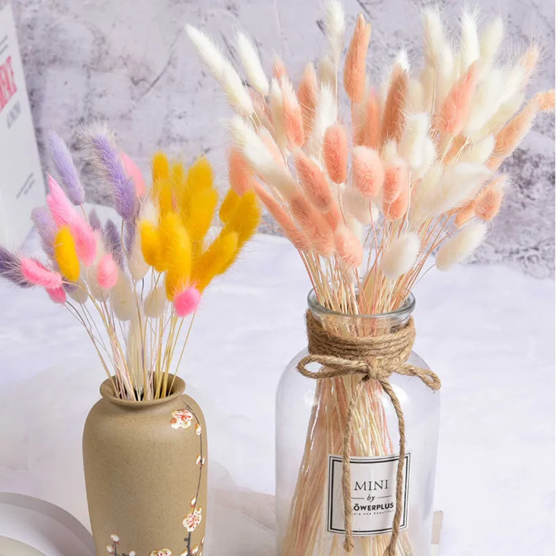 

30pcs/lot,Natural Rabbit Tail Dried Flowers Arrangement shooting props Real touch mini Pampas bunches Wedding Home Decoration