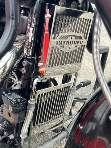 8 best sales Inkräktare VL1500 - №1