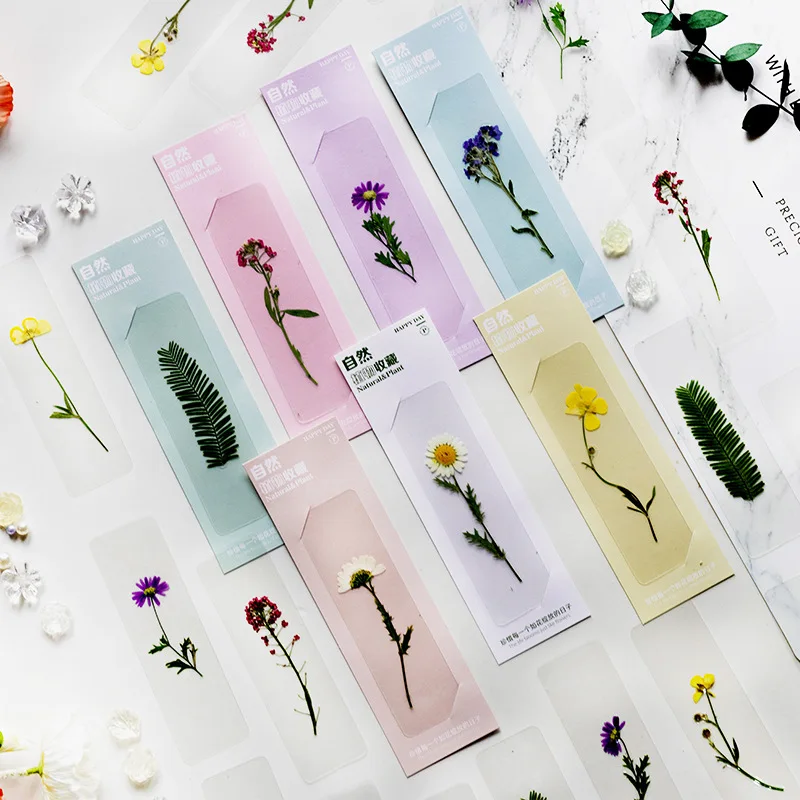 10Pcs Creative Gift Pet Transparent Dried Flower Pressed Flower Bookmark Laminated Plant Specimen Artistic Fresh Journal Reading Book Clip Commemorative Card