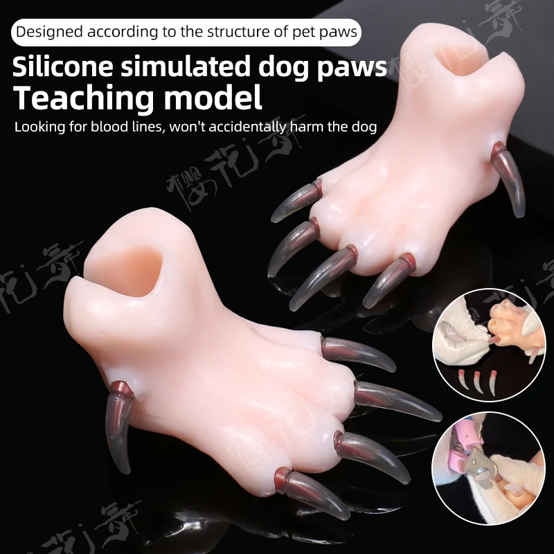 Silicone simulation dog paw teaching model, pet beauty school teaching, junior pet beauticians practicing cutting dog nails