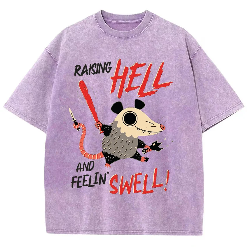 Japanese Cartoon Mouse Print Women T-Shirt Washed Denim Oversized Cotton High Quality Half Sleeve Casual Fashion Top Y2k Tees