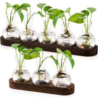 Modern Transparent Hydroponics Glass Vase with Wooden Tray Creative Plant Terrarium Propagation Station Desktop Decorating Vase