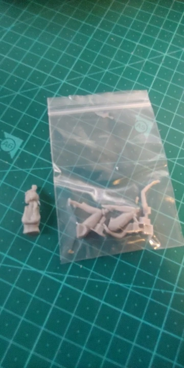 Buyer photo of this resin kit