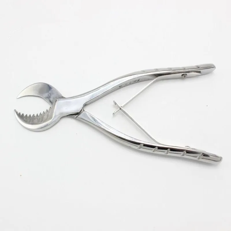 Dental Stainless Steel Gypsum Scissors Gypsum Pliers Oral Equipment Durable Large Small Dental Laboratory Technician Instruments