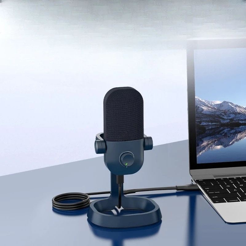 Simple and delicate recording reverb real-time monitor earphone monitor desktop 24bit/192K condenser microphone