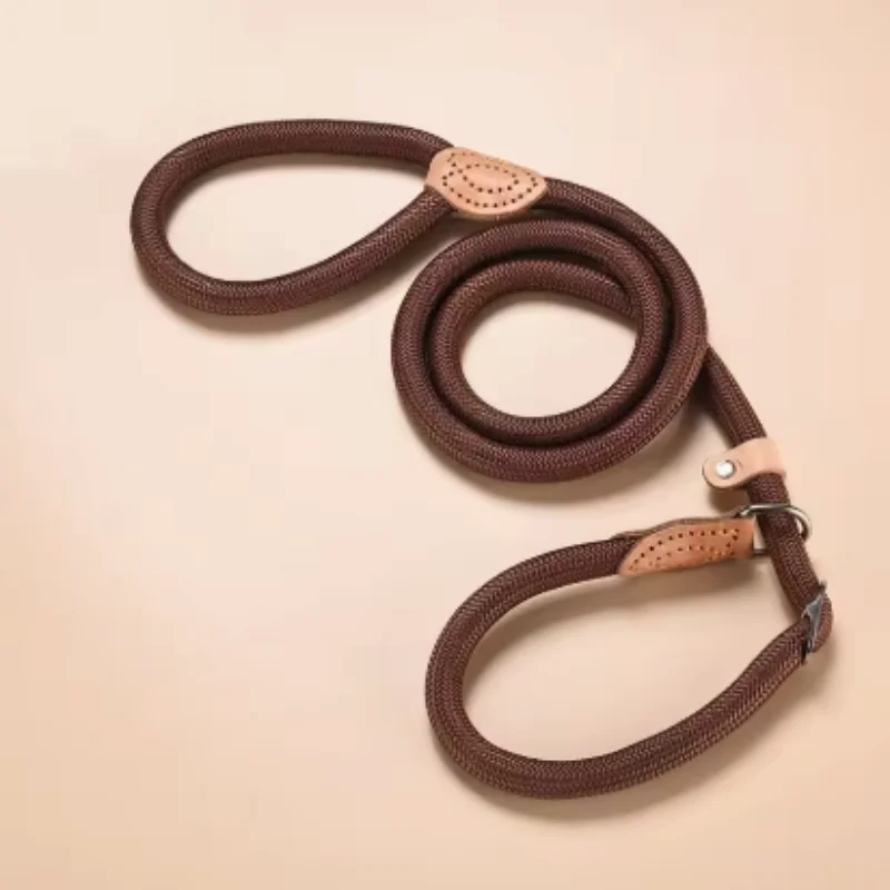 Neue Hundeleine, Slip-Leine, Robuste Geflochtene Seilleine mit Verstellbarem Schlaufenhalsband, Trainingsleine für Kleine und Mittelgroße Hunde – Detail 14