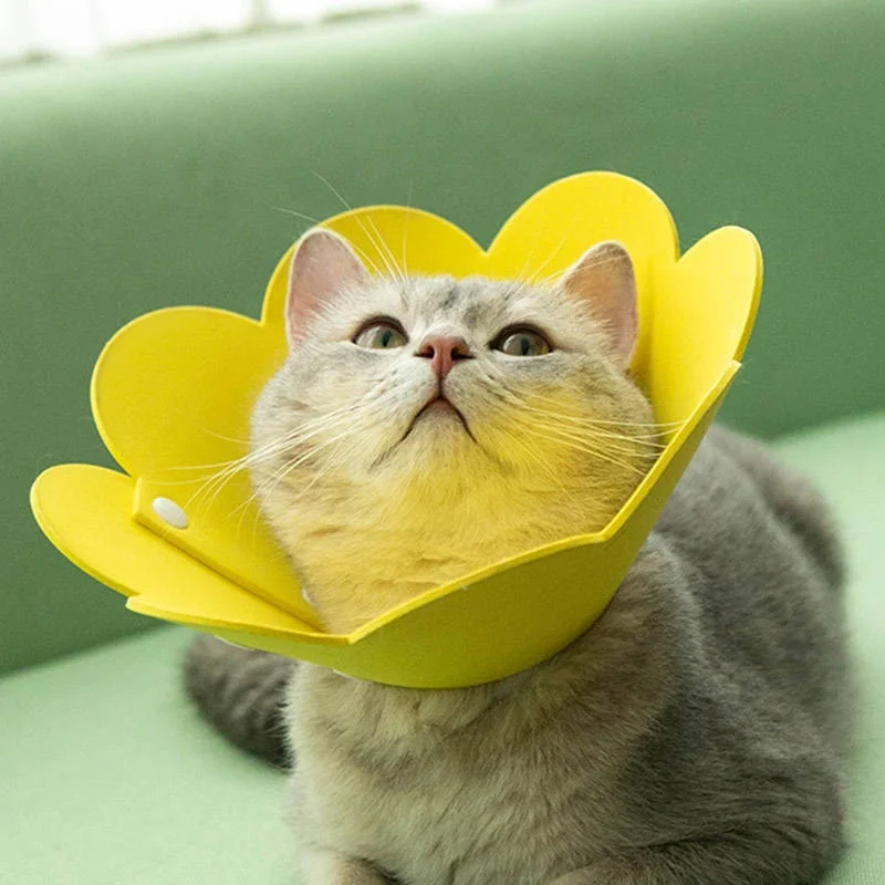 Dog Cat Elizabethan Collar Soft Recovery Cone Anti Lick Bite Medical Neck Collar for Surgery Wound Protection