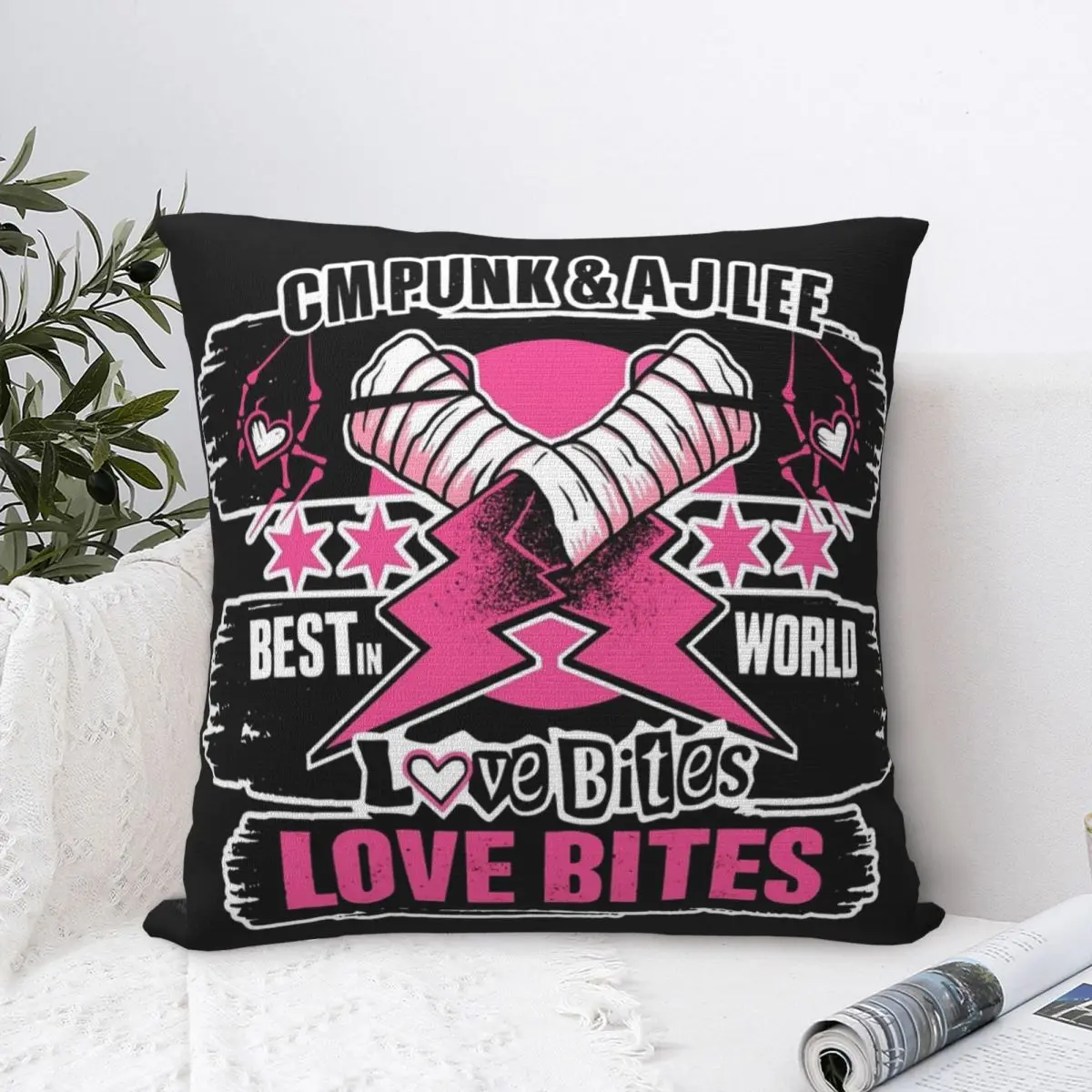 Punk & Aj Lee Pillo…