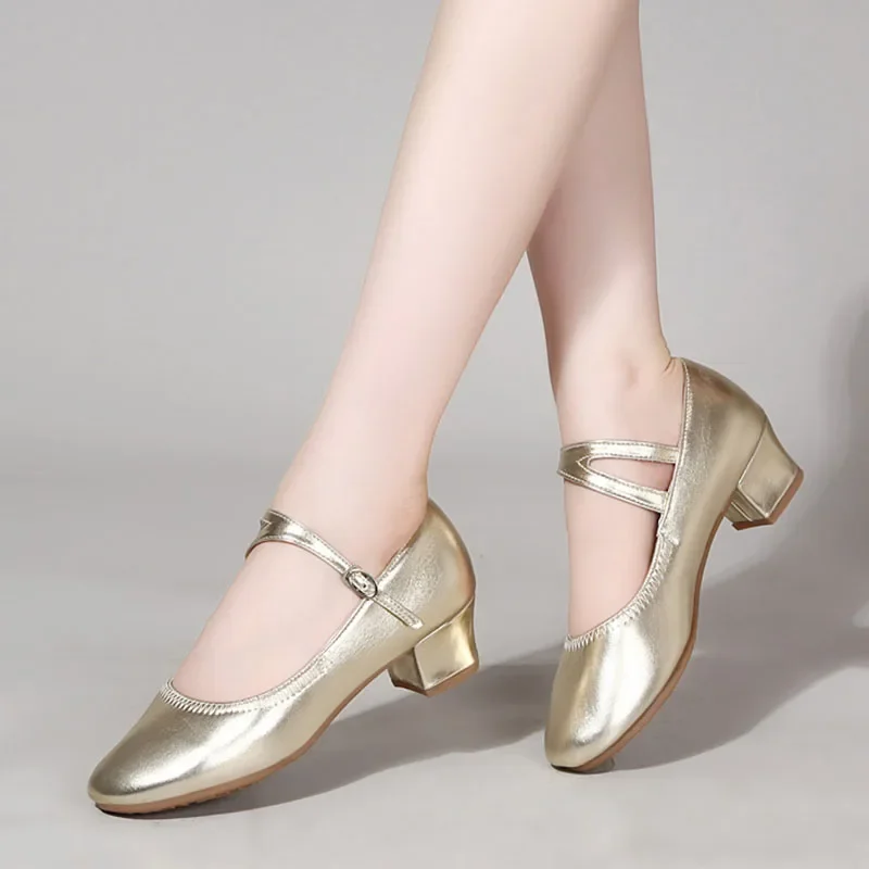 Ballroom Dance Shoe Women Standard Dance Shoes Women Practise Latin Dancing Shoe Soft Outsole Professional Tango Shoes Women
