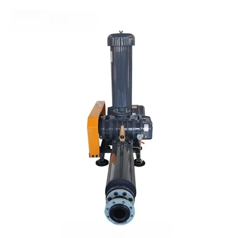 

Roots Blower High-Strength Cast Iron Three-Lobe Fish Farming Aeration Pond