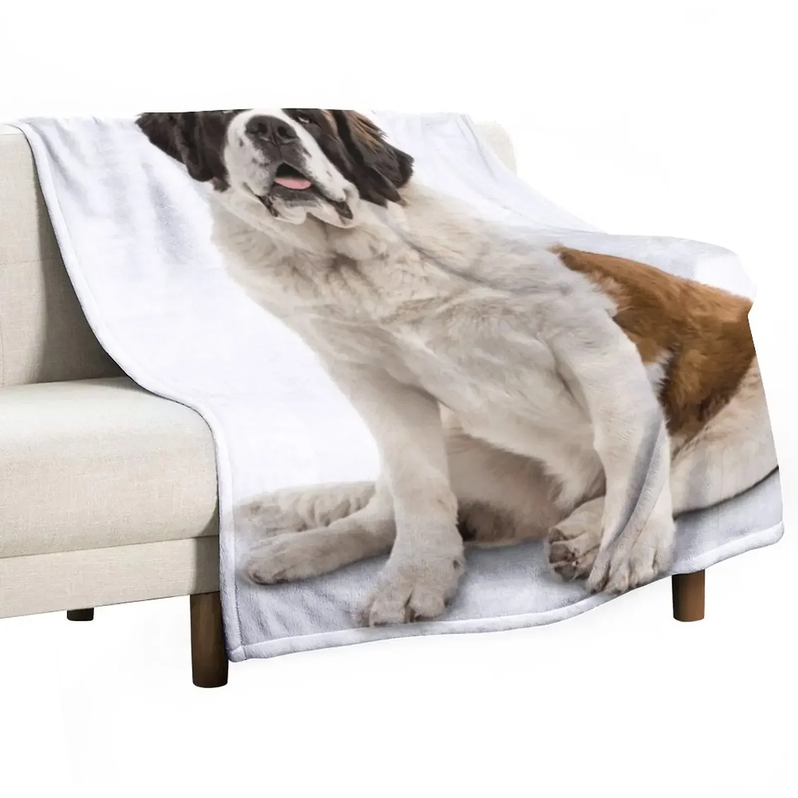 A Patient St. Bernard Throw Blanket Flannel Furry Blankets