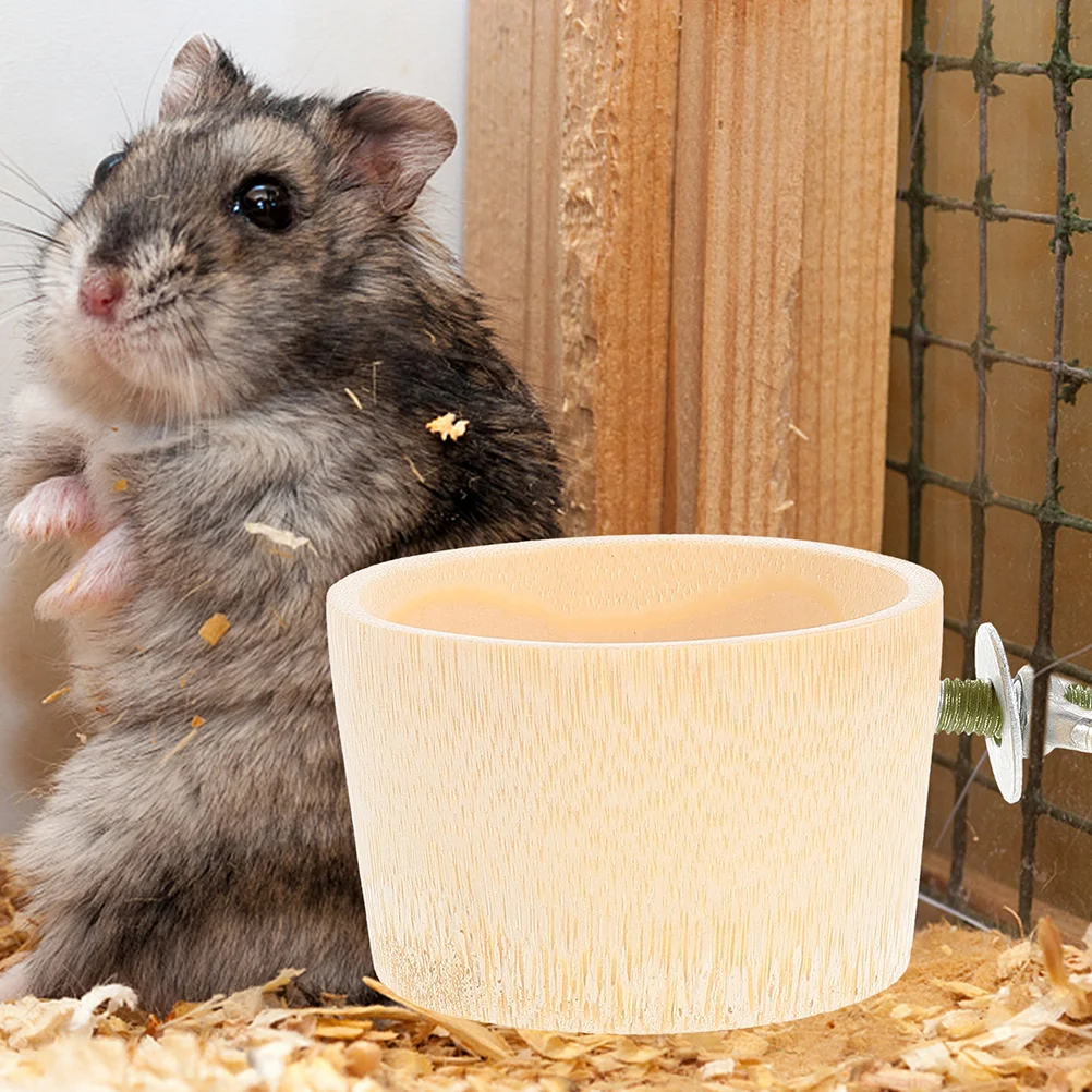 10 Pcs Birdcage Screw Accessories Fix Tool Perch Fixing Standing Board Kits Springboard Screws Silver