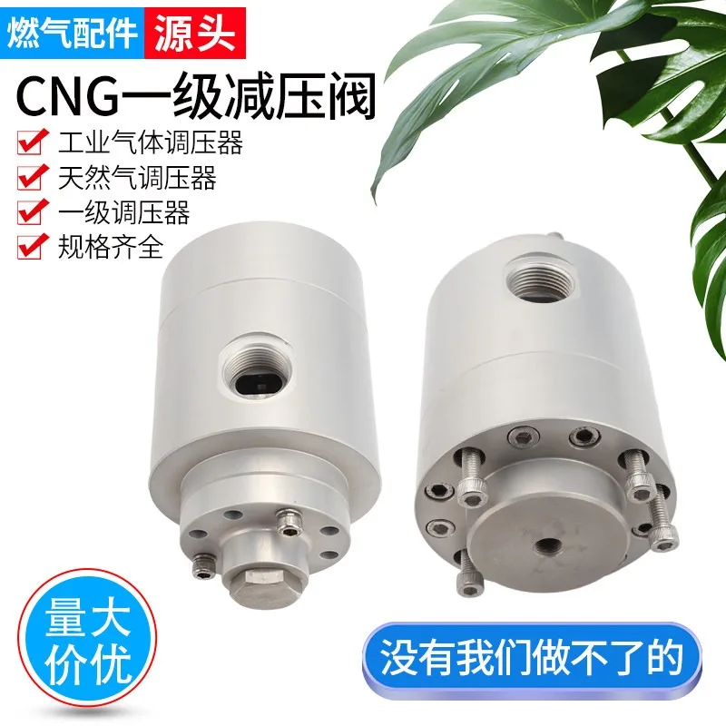CNG natural gas high pressure reducing valve pressure regulating valve CNGLNG gas hose fittings pipeline first pressure reducer
