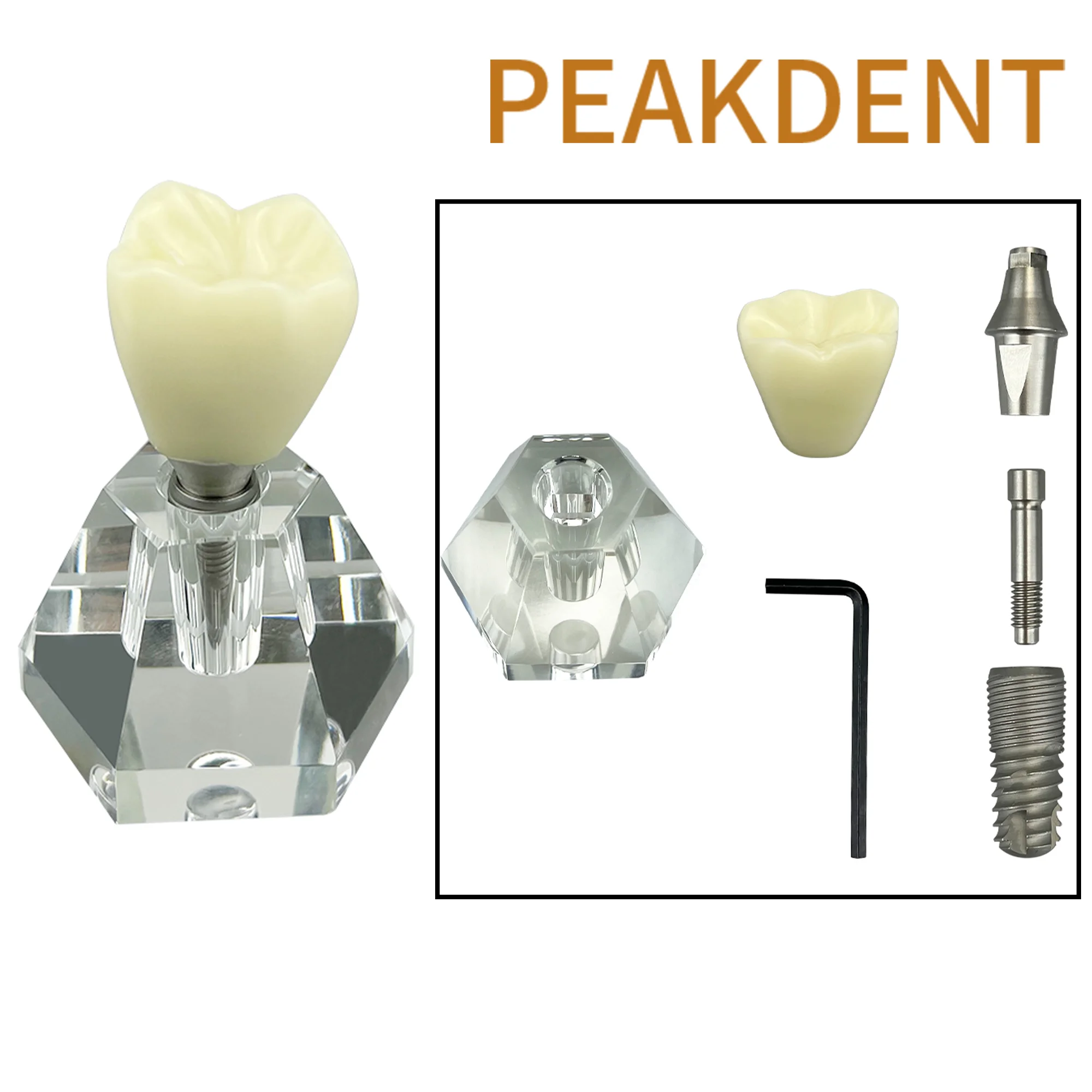 Clear Implant Denture Model Crystal Dental Implant Teeth Model Crown Typodont Demonstration Model Dentistry Laboratory Products