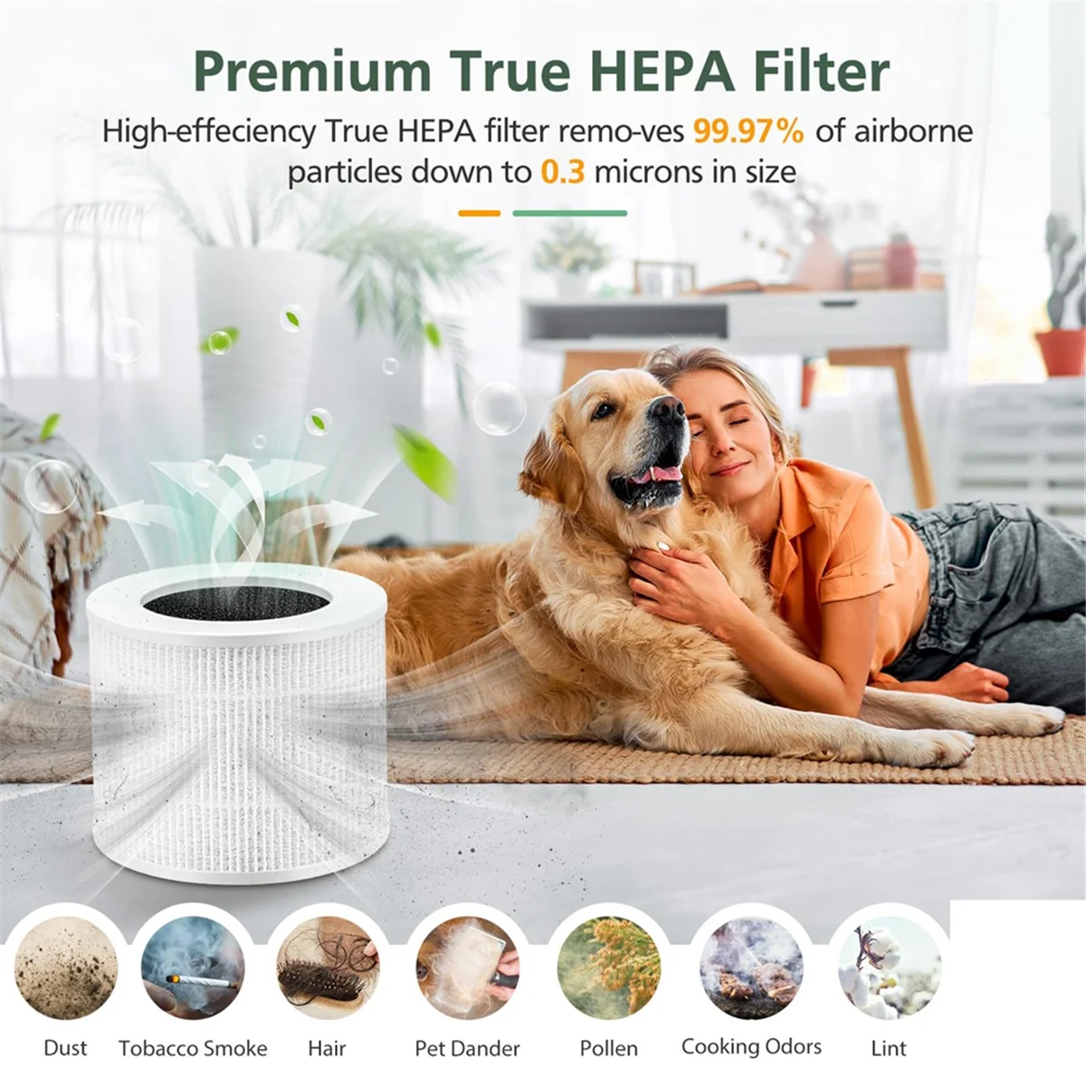 Filters 3 Pack Core… - image