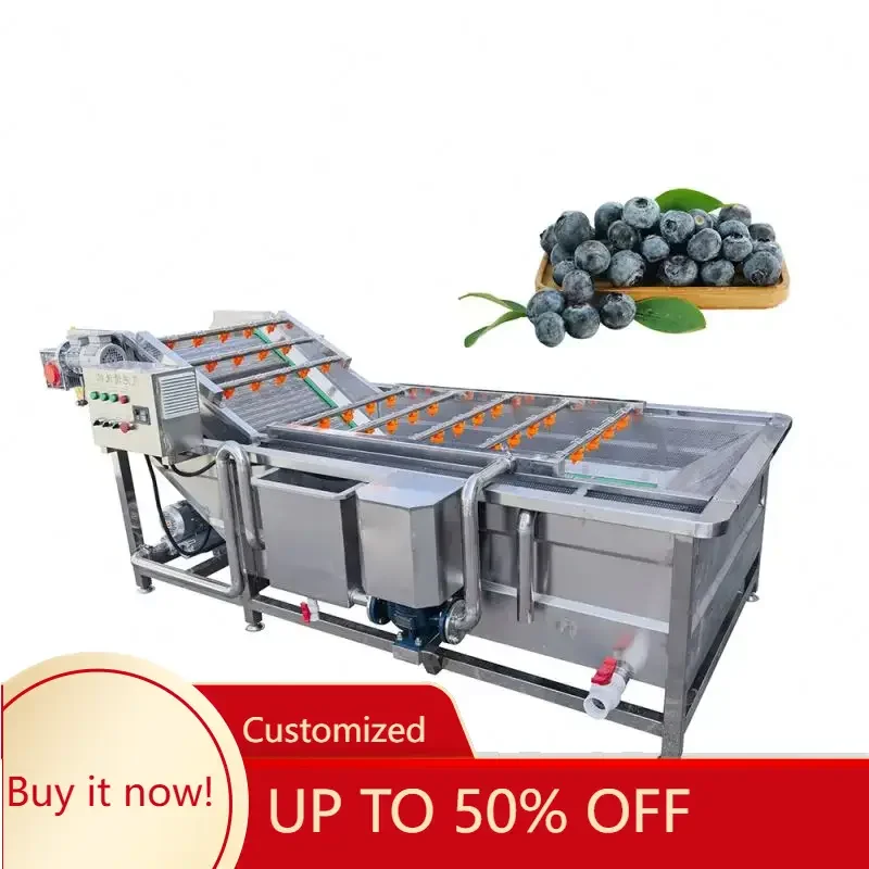 FL Automatic Professional Machine for Washing Fruits and Vegetables Washing Machine Conveyor Belt  Customized