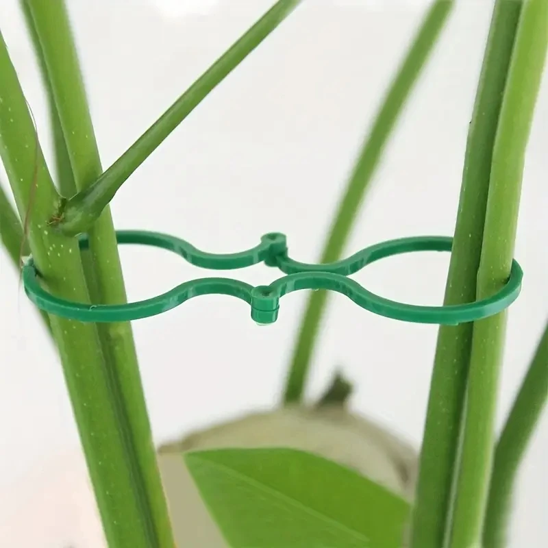 Picture 7: 20 Plastic Garden Vine Clips Plant Tie Fastening Ring Clips Tomato Plant Support Tools