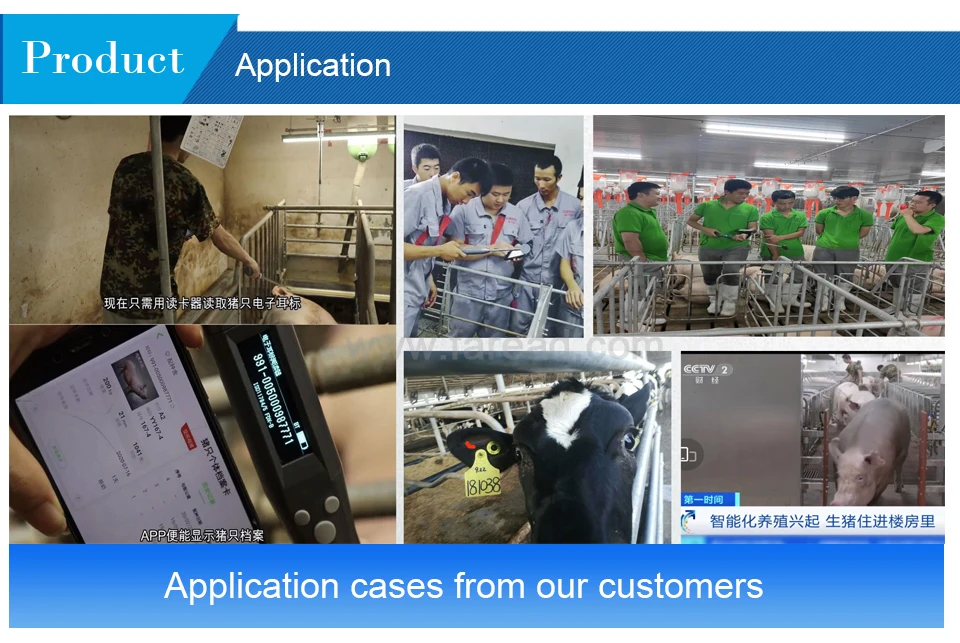 เครื่องสแกนเสาอากาศแบบปรับได้เครื่องอ่านแท็กหูสัตว์ RFID เครื่องอ่านชิป ISO FDX-B HDX สําหรับวัวม้าวัว