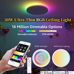 Smart 30W LED Ceiling Lamp with RGBIC Backlight, Remote and APP, Compatible with Alexa and Google Home Assistant for Bedroom