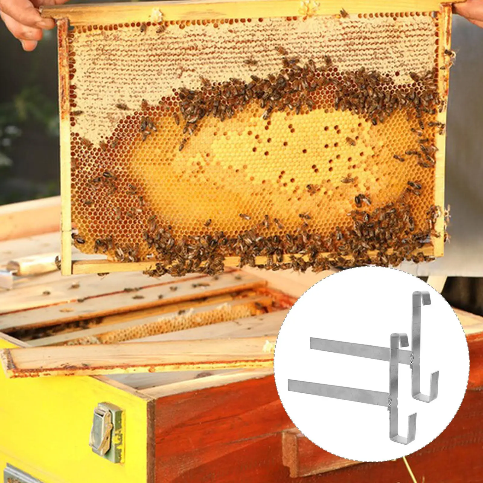 2 Pcs Beehive Frame Holder Stainless Steel Detachable Beekeeping Tools Hive Stand Wire Nest Bracket Honey Uncapping Rack Keeper