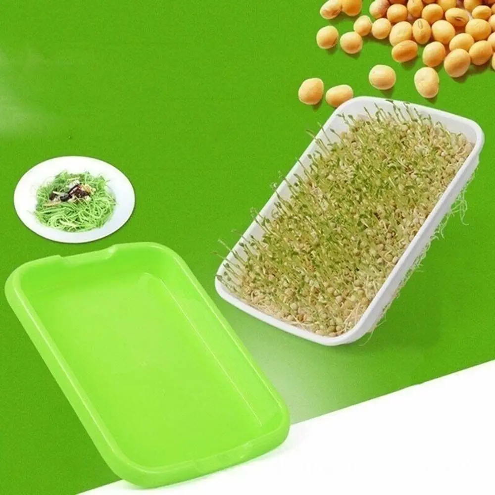 

Double-layer Plastic Soilless Planting Nursery Pots Soilless cultivation Hydroponic Vegetable Gardening Tools Seedling Tray
