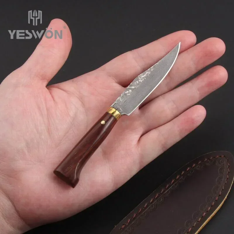 Mini Premium Outdoor Messer edc Werkzeug kleines festes Jagdmesser perfekt für Camping Geschenk