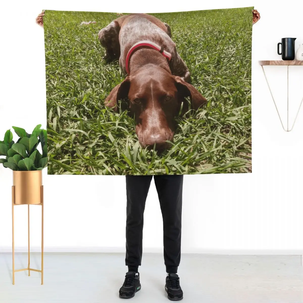 Summer Days with a Sharp-eyed Companion: A German Shorthair Pointer on the Hunt Throw Blanket Soft Big Summer Beddings Blankets