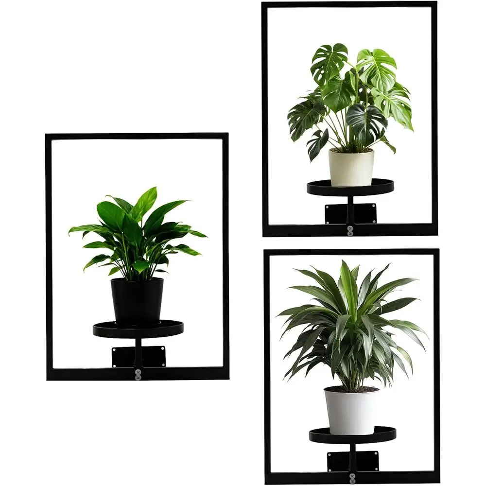 

Вертикальная садовая рамка для растений, металлический настенный держатель для растений для внутреннего и наружного декора, включает в себя 2 черных современных фоторамки Pla