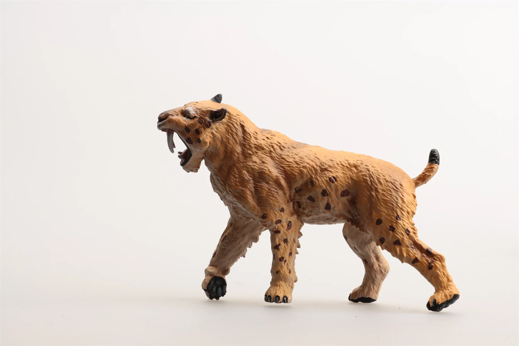 アースストーリースタジオサーベルタイガーモデル先史時代の動物フィギュアマカイロダスコレクションシーン装飾誕生日ギフトおもちゃ