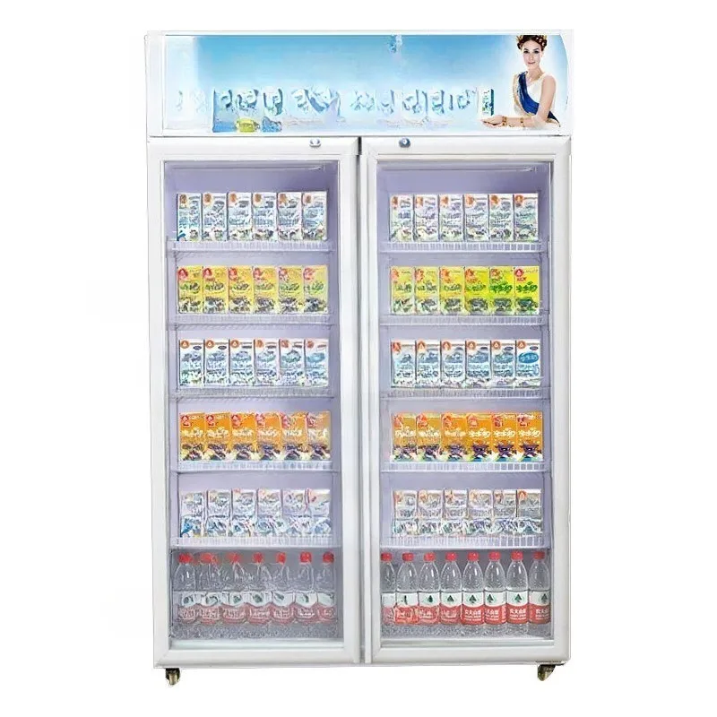 Heating Cabinet Convenience Store Double Door Insulation Display Cabinet Large Capacity Hot Air Circulation Vertical