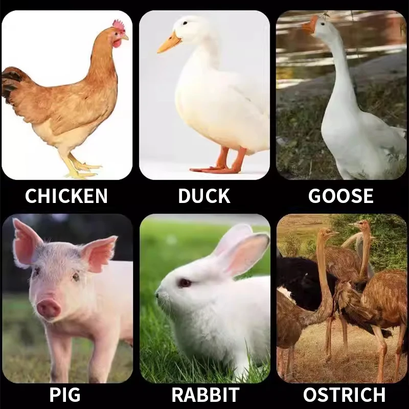 

7.5 kW Grass Chopper, 220V/380V Straw Shredder, Suitable for Both Dry and Wet Use, Ideal for Mowing and Ultra-Fine S(Customized)