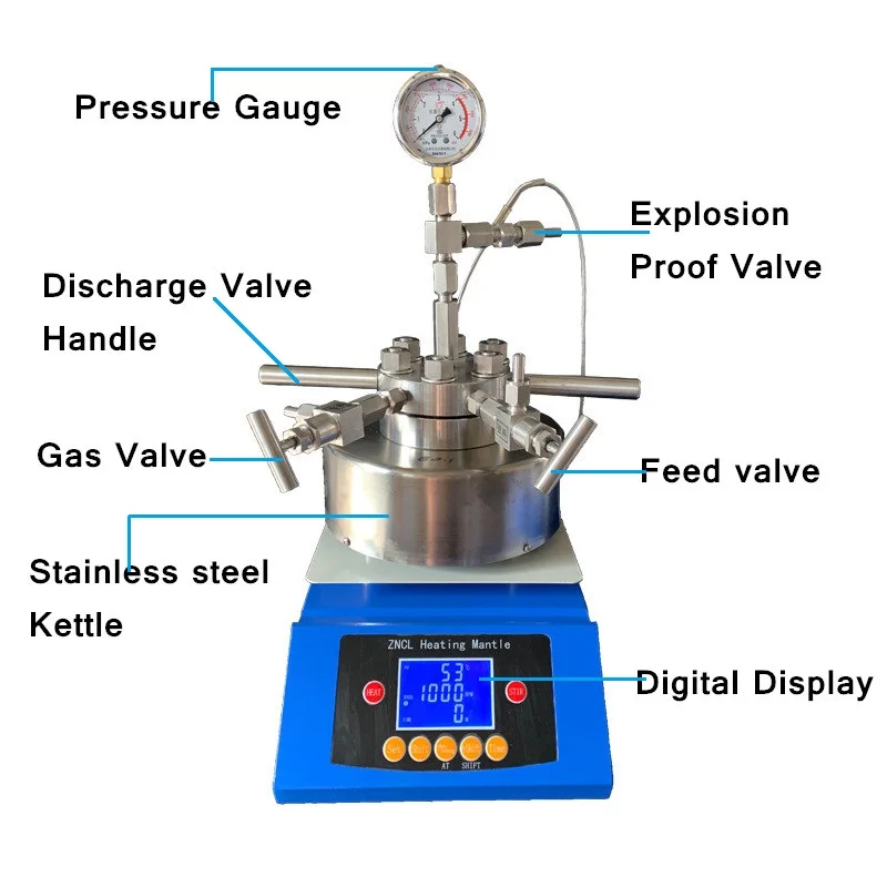 HAIJU LAB Lab High Pressure Stainless Steel Hydrothermal Synthesis Stirring Micro Autoclave Reactor
