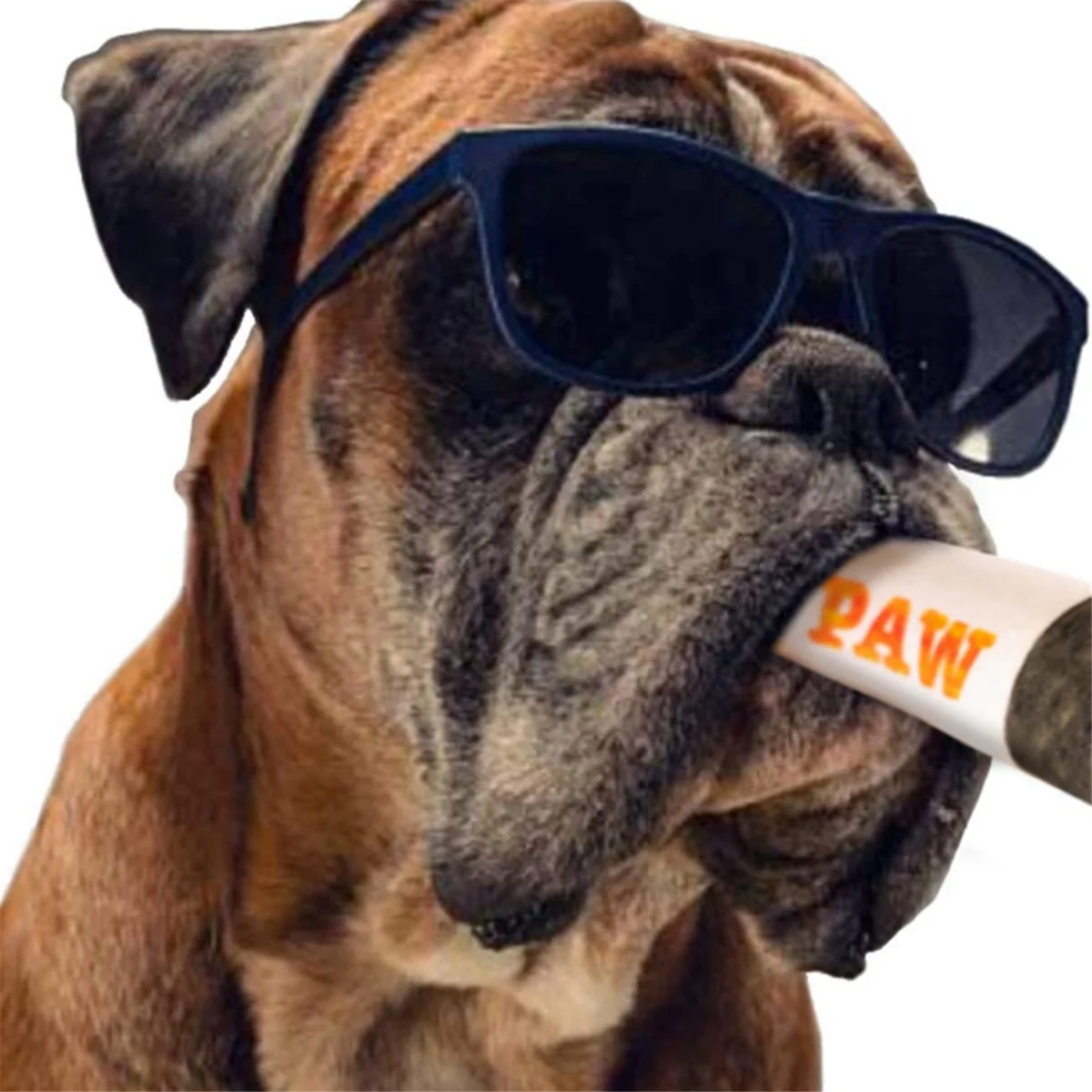 Забавные игрушки для собак — плюшевые скрипучие игрушки для среднего и маленького размера — крутые мягкие милые подарки на день рождения собаки