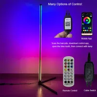 Indoor Home Decor Nordic Floor Lamp With LED RGB Luxury Stand Lamp Light Color Changing Music Smart Home Lights