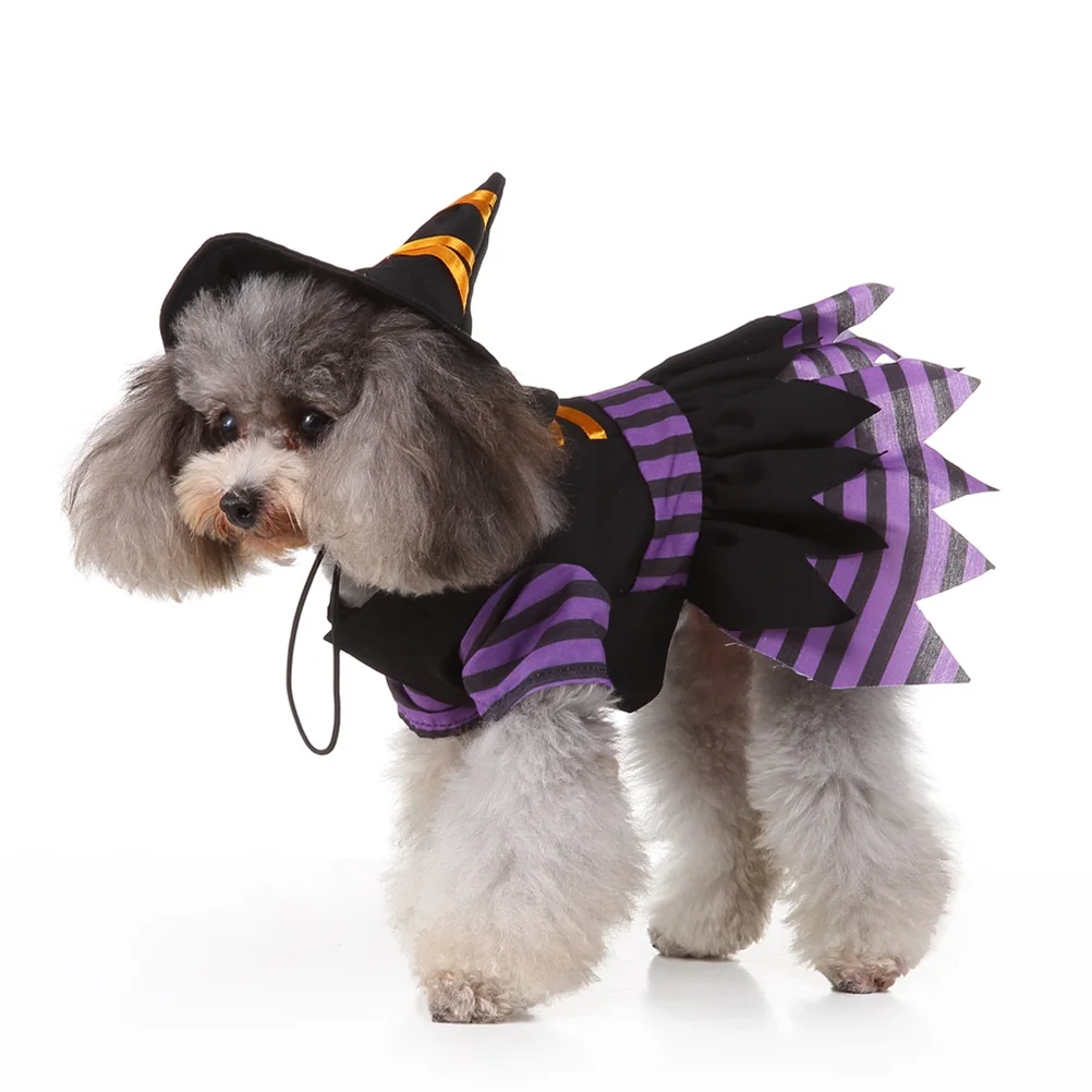

Stylish Witch Design Dog Clothes Perfect for Walking Jogging Outdoor Activities Comfortable Fit Size L Dog Clothes