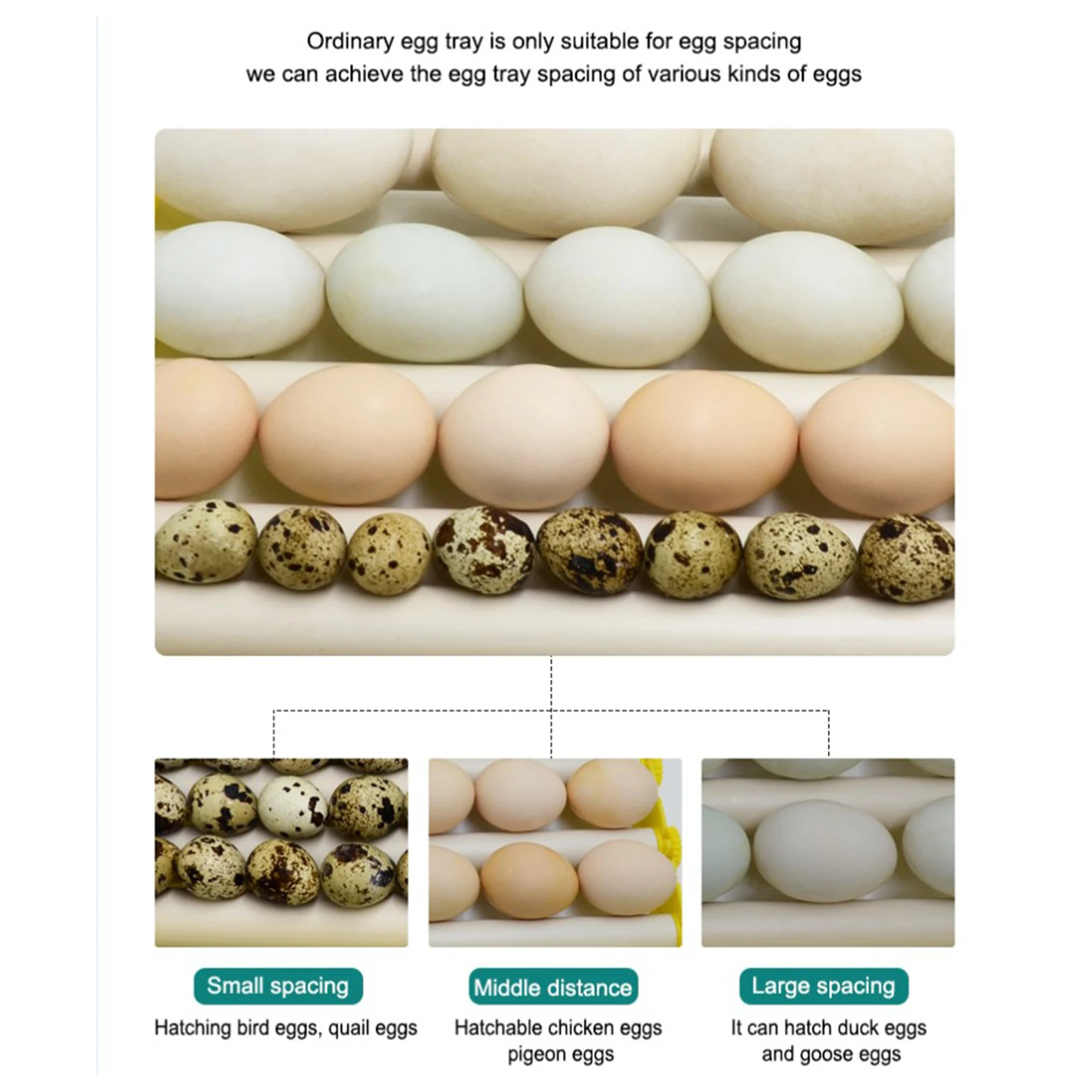 Plastic 7/9/13 Tubes Egg Incubator Tray Rotary Automatic Egg Roller Turner Poultry Hatching Device for Duck Goose Quail Eggs