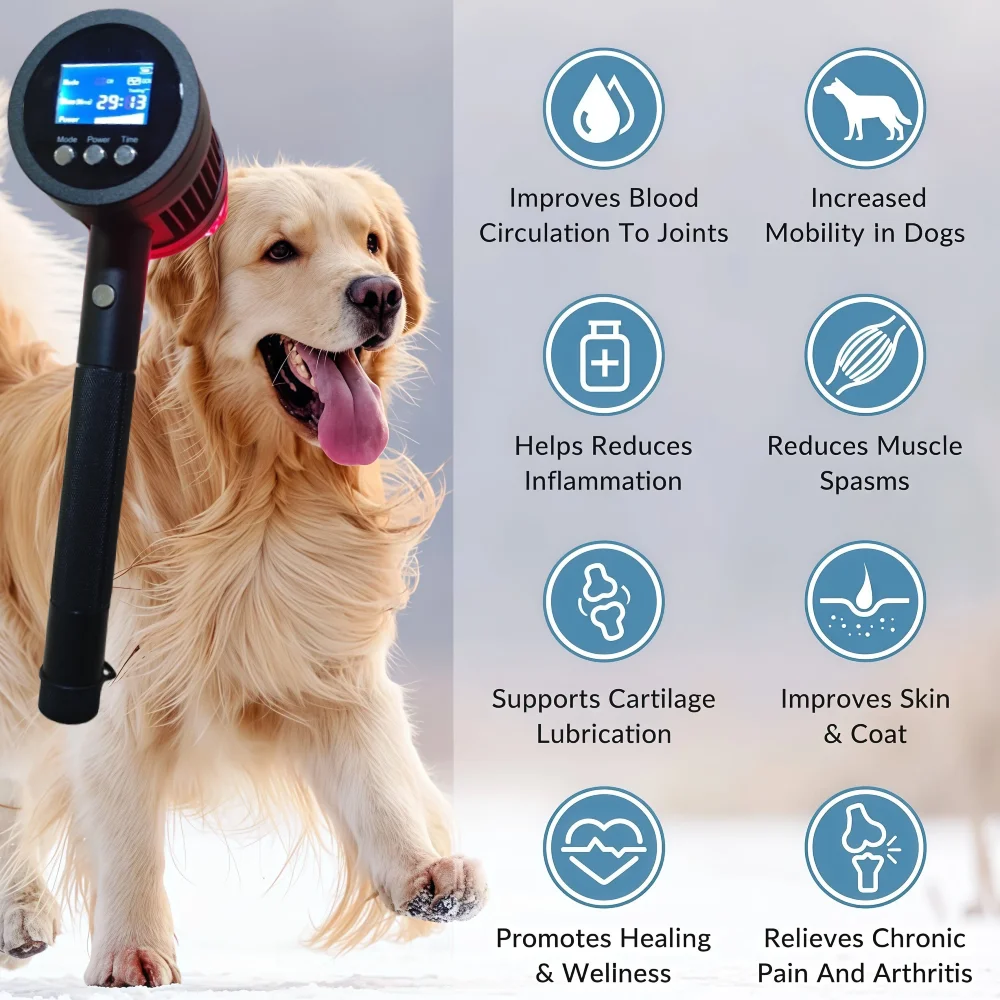 

Veterinary Class IV High Power Laser Therapy Equipment 808nm 5W for Cats Dogs Horses Pain Relief & Rehabilitation