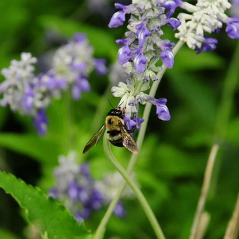 

1,9-дюймовые металлические диски с бусинами и отверстиями Торнадо — премиум-класса для гусеничного радиоуправляемого автомобиля 1/10 — подходят для осевого RC4WD SCX10, TRX4/6