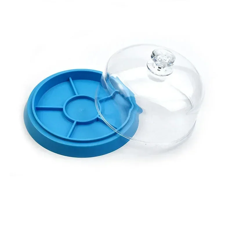 6 فتحات غطاء ورقة الغبار مع صينية ساعة حركة صندوق عرض بسيط أدوات المجوهرات قطع الغيار حامي أدوات إصلاح الساعاتي