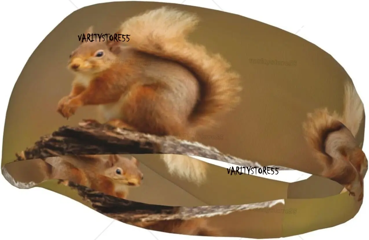 

Squirrel Sweatbands for Women Headbands Animal Stretchy Sweatband Cute Animal Headbands for Men