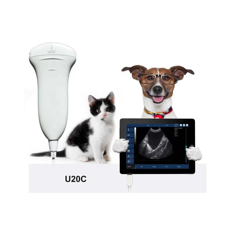 Cheapest Price Handheld Ultrasound Machine Medical Equipment Portable Household Veterinary Digital Ultrasound