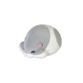 white hamster