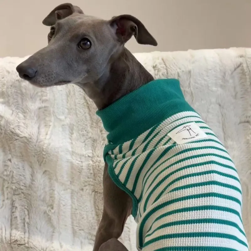 Italian Greyhound/Gyg/Whippet/Sheepdog/Doberman sleeveless style cotton striped stretch vest green and white