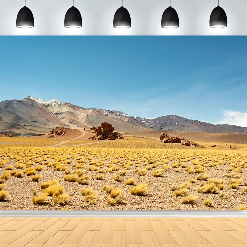 Пейзаж пустыни с кусточками, деревьями, горами, фоны для фотосъемки, кактус, растение, Джошуа, рок-формации, фотофон RD-02