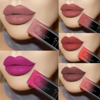 Impermeable desnudo mate terciopelo brillante brillo de labios lápiz labial bálsamo labial Sexy tinte de labios rojo 21 colores mujeres moda maquillaje tubo de lápiz labial