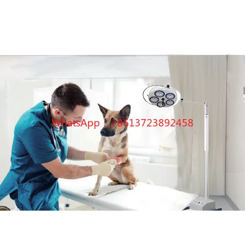 

Aeolus Vertical Examination Lamp Operation Lamp Vet Veterinary Cold Light Operation Lamp with Batteries Installed